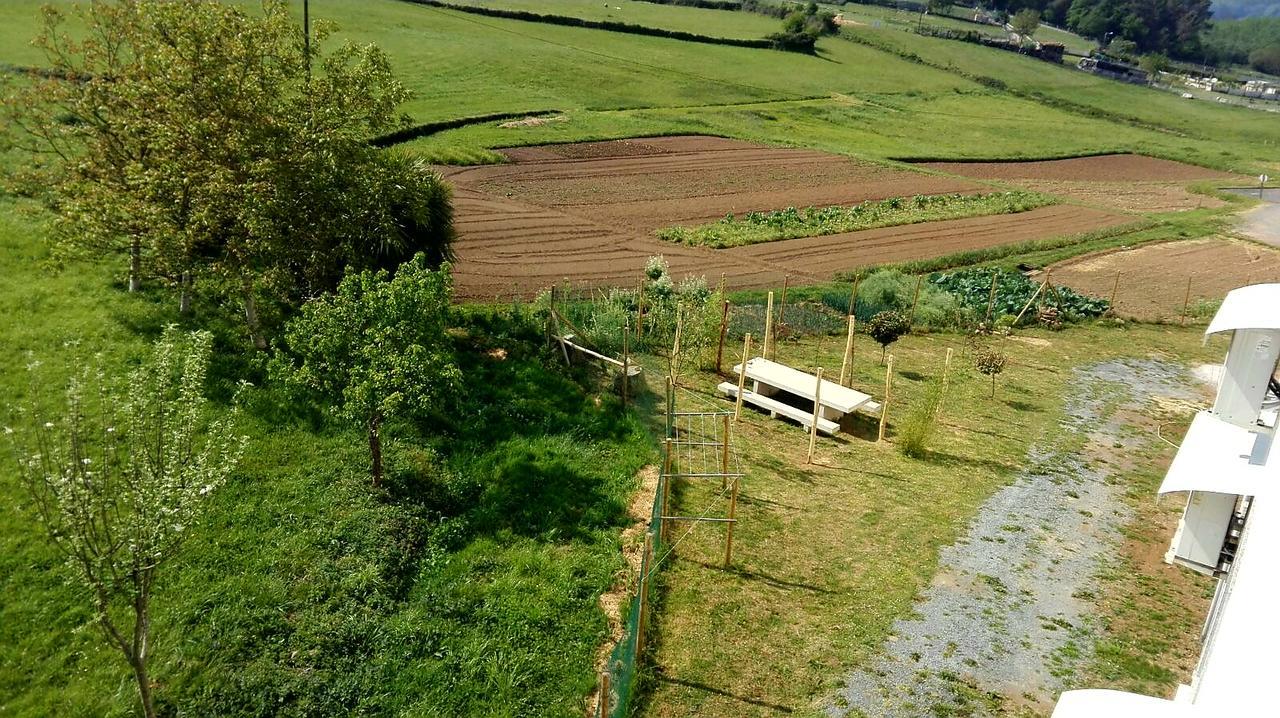 Albergue Montoto Melide Dış mekan fotoğraf